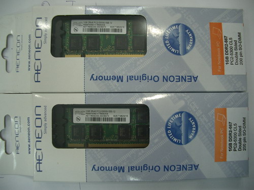 IMGP9973.JPG