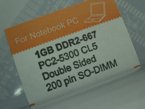 IMGP9974.JPG