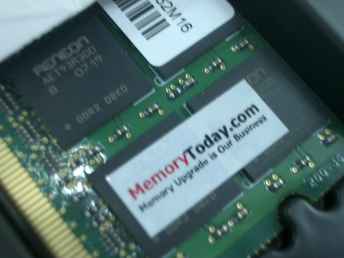 IMGP9975.JPG