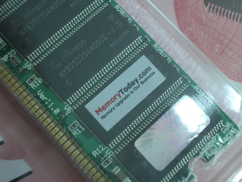 IMGP9988.JPG
