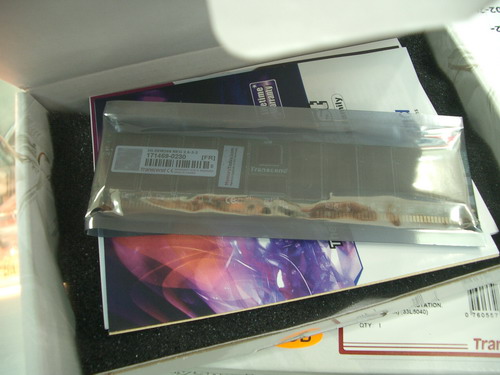 IMGP9990.JPG