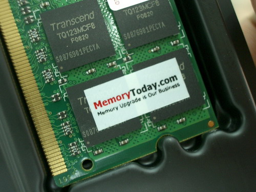 IMGP9993.JPG