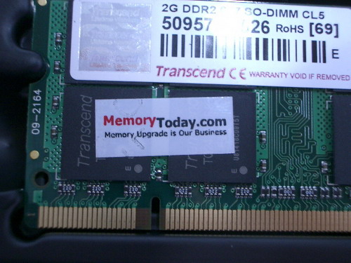IMGP9995.JPG