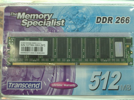 RAM 03.JPG