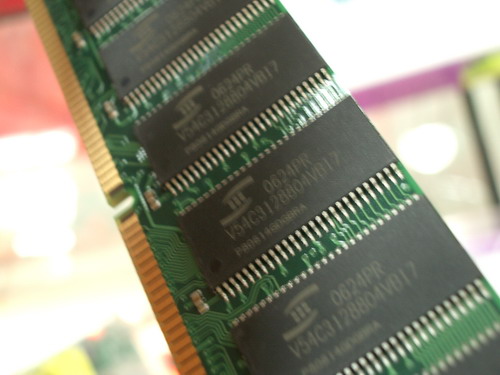 SD-6958.JPG