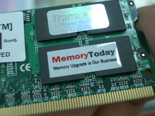 sk-7993.JPG