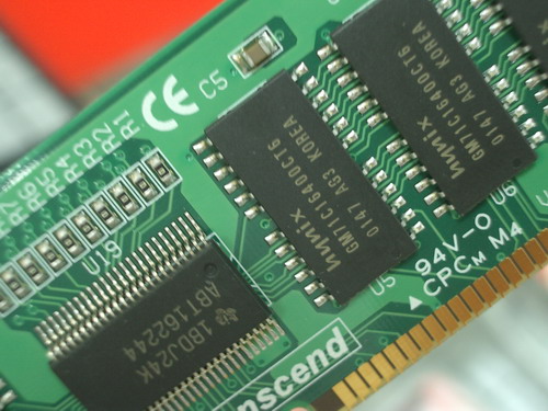 SUN-06.JPG