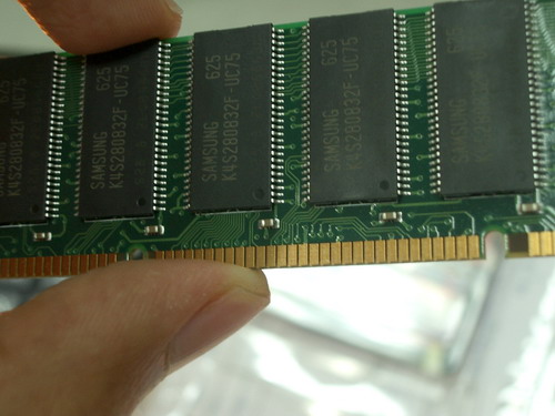 SW-5359.JPG